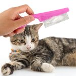 Pet Hair Comb Tear Stain Removal,2 Pack Multifunctional Pets Grooming Comb Kit 2 in 1 Dog Combs Stainless Grooming Massage Dual-Sided Comb for Knots Crust Floating Hair Tangle Fleas(Pink)